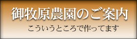 御牧原農園のご案内