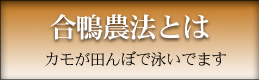 合鴨農法とは